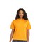 12 Pack : Hanes Unisex Eco-Smart Cotton Blend Crewneck T Shirt Classic Fit Everyday Sustainable Casual Wear